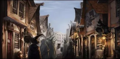 Alors qu'ils sont à Pré-au-Lard pour la deuxième fois, Harry (sous sa cape d'invisibilité) accompagné de... lance de la... sur Malefoy, Crabbe et Goyle car ceux-ci se moquaient de...