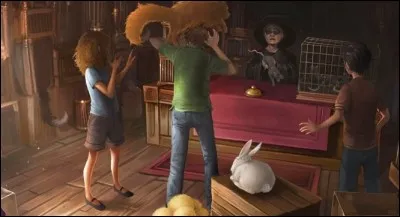 Quelle potion propose la vendeuse de la Ménagerie Magique à Ron pour aider Croûtard, qui n'est pas en forme ?