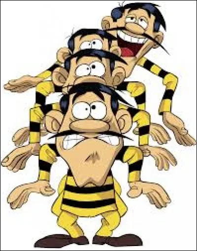 Qui est le plus grand, en taille, des frères Dalton ?