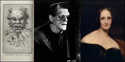 Et si on parlait de cet écrivain français François-Félix Nogaret. Il a été censeur, il a dirigé, en province, des ateliers de salpêtre ! Parmi ses uvres, il écrit un roman qui a probablement inspiré un autre écrivain.
Quel est cette uvre inspiratrice ?
Qui a-t-il probablement inspiré ?