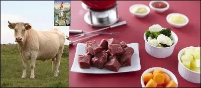 Cuisine !
Parlons de ce plat traditionnel. Il est constitué de viande de buf prédécoupée de la taille d'une bouchée, d'huile chauffée dans un caquelon et d'un certain nombre de sauces comme mayonnaise, sauce béarnaise, sauce tartare et d'autres accompagnements.
Quel est ce plat ?
Quel est son pays d'origine ?
Quel est l'origine de la viande ?