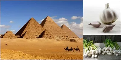 Histoire, grève !
La première grève connue s'est déroulée il y a environ 3500 ans en Egypte antique pendant la construction de la pyramide de Khéops !
Connaissez-vous la raison de cette grève ?