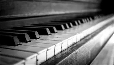 Comment appelle-t-on un fabricant d'orgues et de pianos ?