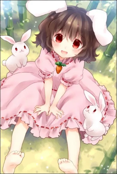 Tewi Inaba, la lapine lunaire, poss&egrave;de aussi des pouvoirs. Quels sont-ils ?