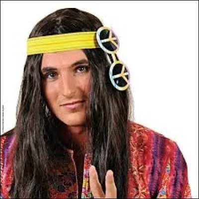 Parmi ces mots, lequel est un synonyme de "baba cool" ?