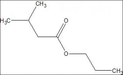 Quel est le nom de cette molécule ?