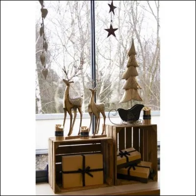 Lequel ne fait pas partie des rennes du père Noël ?