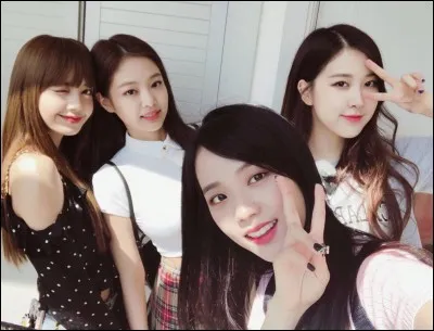 La maknae et la hyung de Blackpink sont :