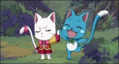 D'où viennent Carla et Happy ?