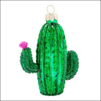 Je profite de cette "boule-cactus" pour vous demander le pays qui possède un cactus sur ses armoiries...