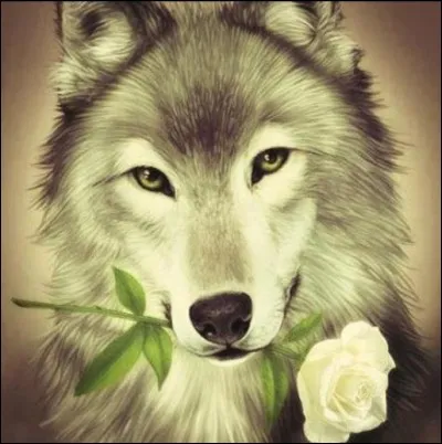 Carlaioz - Quel est le cri du loup ?