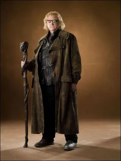 En quelle année le professeur Maugrey a-t-il enseigné la défense contre les forces du Mal ?