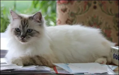 Quelle expression veut dire "sortir avec sa maîtresse" ?