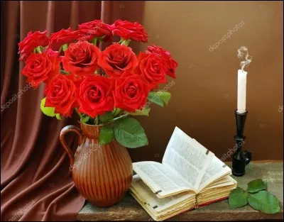 Qui est l'auteure du livre "Marianne" ?