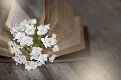 À qui doit-on "Chéri" ?