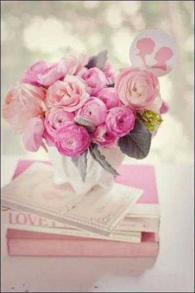 Qui a écrit "François le Champi" ?