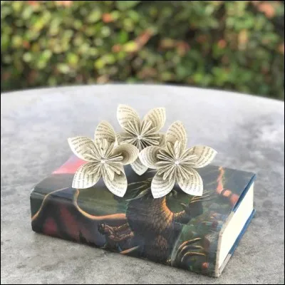 À qui doit-on "La Vallée noire" ?