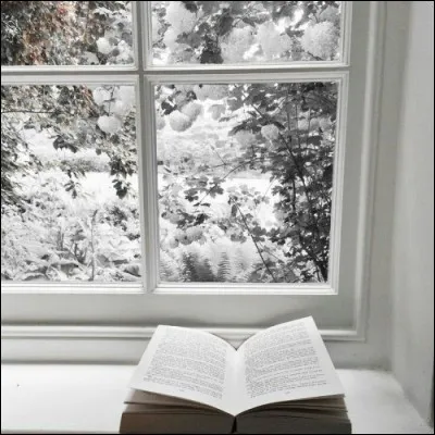 À qui appartient le livre "Un hiver à Majorque" ?