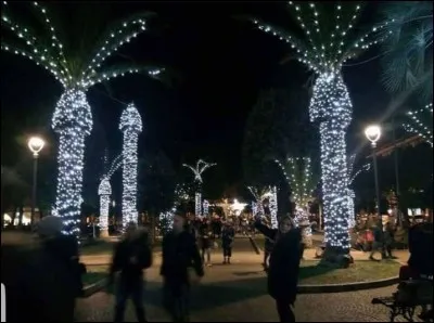 Encore une décoration urbaine de Noël qui "tourne mal" dès qu'on allume en soirée...( et là, on peut dire que le diable se cache dans les détails, n'est-ce pas ? ) Quels sont ces arbres décorés ?