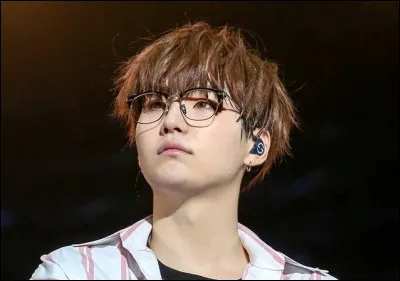 Quel est le rôle de Suga ?