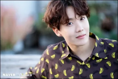 Quel est le rôle de J-Hope ?