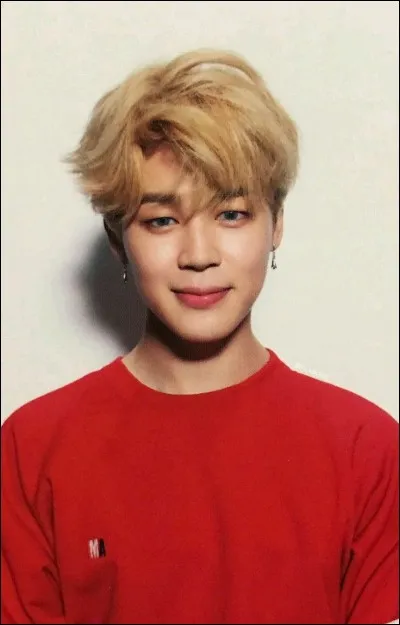 Quel est le rôle de Jimin ?