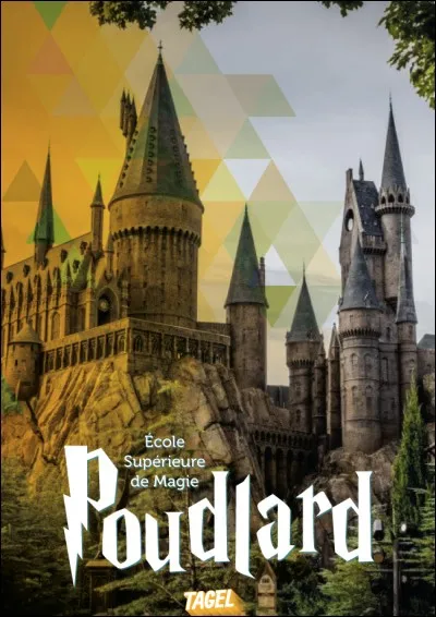 Quel genre d'élève es-tu à l'école ?