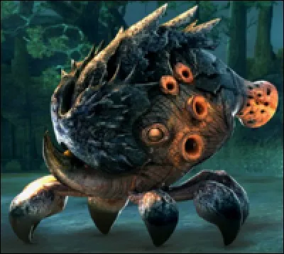 Où ne voit-on jamais de Scroutt à pétard ?