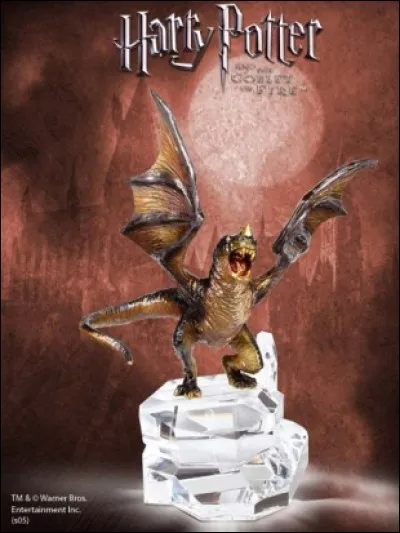 Pour la première tâche du Tournoi des Trois Sorciers chaque candidat tire au sort un modèle réduit de dragon. Quel candidat doit combattre le Suédois à museau court ?