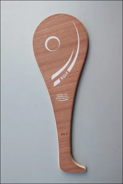 Quel est le nom de cette raquette ?