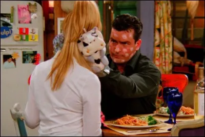 Charlie Sheen fait partie des nombreuses célébrités à avoir fait une apparition dans la série. Il jouait le rôle de Ryan, un petit-ami occasionnel de Phoebe. Quel était son métier ?