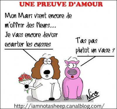 L'Amour fait passer le temps, le Temps fait passer l'amour, ce proverbe existe réellement !