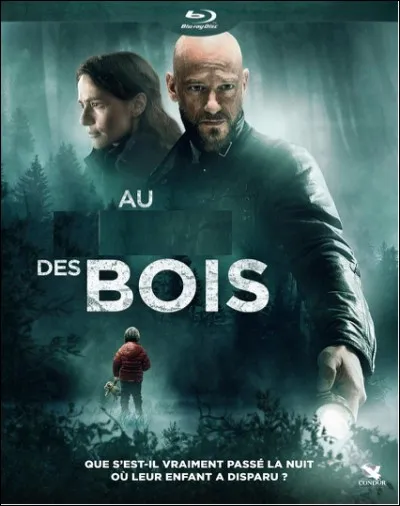 Quel est ce film ?
