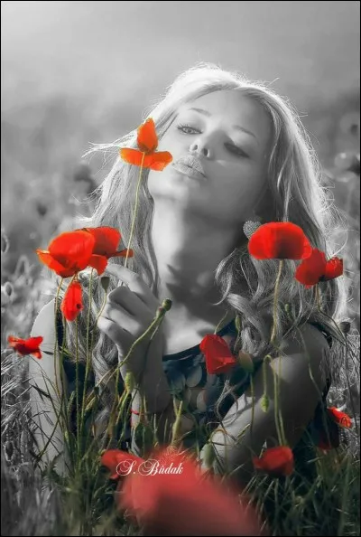 À quelle écrivaine féministe doit-on "Ainsi soit-elle" ?