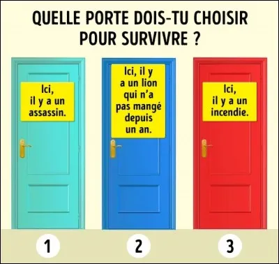 Quelle porte dois-tu choisir pour survivre ?