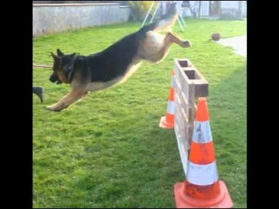 Ta sp&eacute;cialit&eacute; est...