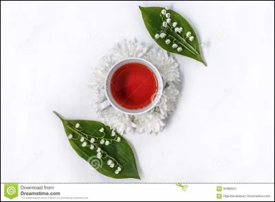 Ce film d'animation, récompensé au festival de Cannes, se nomme "La Tortue ...".