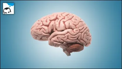 Vous vous êtes creusé la tête (ou pas) pour répondre, ce qui donne en version colorée :