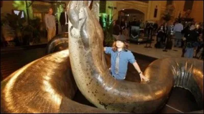 Le Titanoboa a-t-il vraiment existé ?