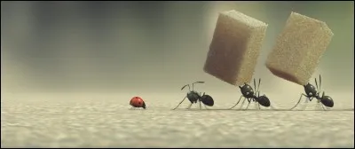 Quel poids une fourmi est-elle capable de soulever ?