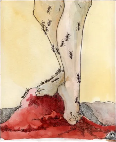 Comment appelle-t-on le fait d'avoir des "fourmis" dans les mains ou les jambes ?