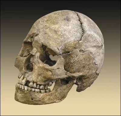 Quand sont apparus les premiers hommes de Cro-Magnon ?