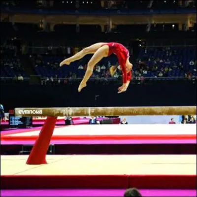 Quel est cet agrès ?