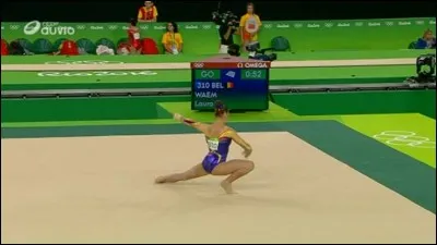 Quel est cet agrès ?