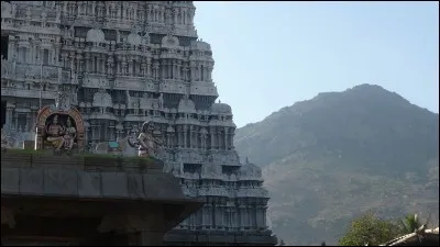 Quel écrivain a signé "La Montagne magique" ?