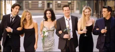 Dans le tout dernier épisode de la série on apprend que Ross a souhaité, un temps, exercer un métier artistique. Lequel ?