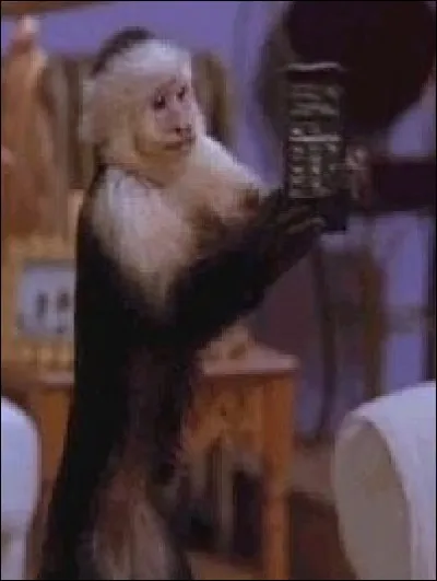 Pour quelle raison Ross doit-il se séparer de son singe ?