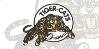 Quel est le nom de cette quipe ?