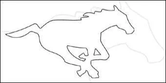 Quel est le nom de cette quipe ?