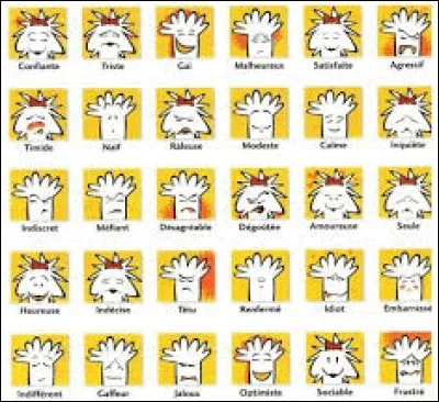 Quel caractère te correspond ?